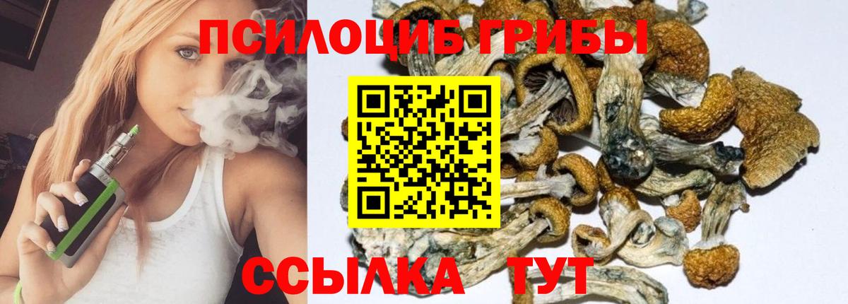 Галлюциногенные грибы Cubensis  Вход с VPN  купить закладку  Клин  Галлюциногенные грибы Psilocybine cubensis 